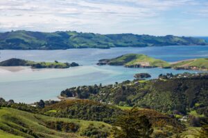 Read more about the article 6 experiences you can only have on the Otago Peninsula