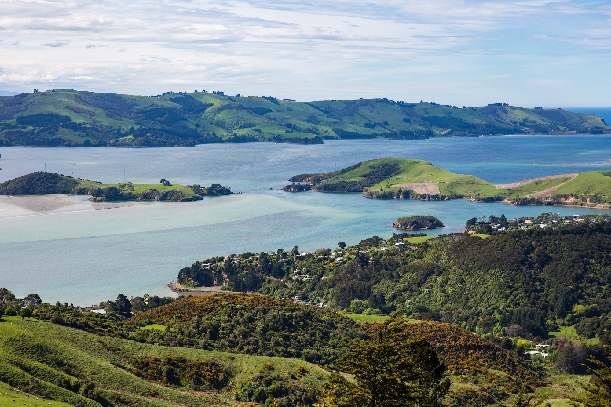 You are currently viewing 6 experiences you can only have on the Otago Peninsula
