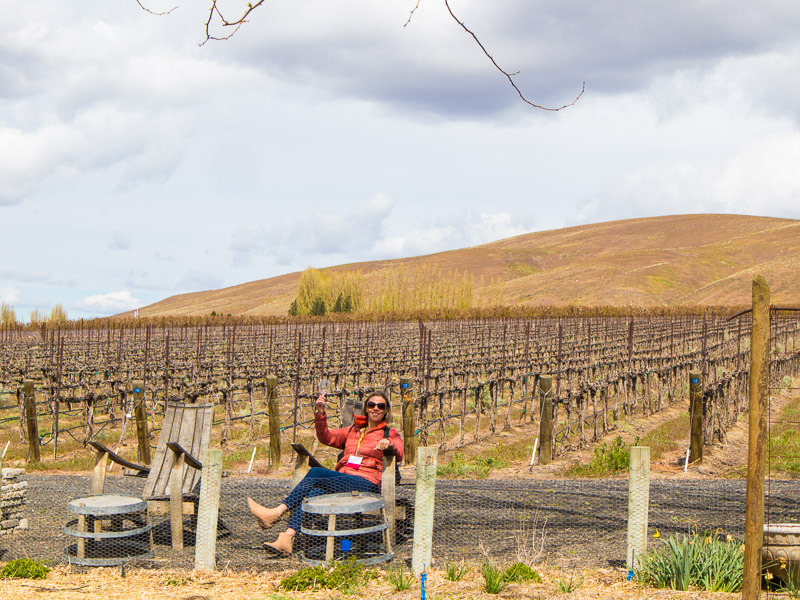 You are currently viewing WHY VISIT the Tri Cities, WA + Things to do in the Heart of Washington Wine Country