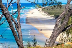 Read more about the article Fraser Island Day Trip: The Best Way To See K’Gari in 1 Day