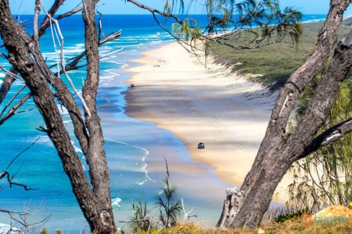 You are currently viewing Fraser Island Day Trip: The Best Way To See K’Gari in 1 Day