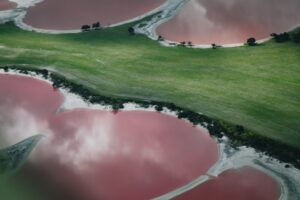 Read more about the article Australia’s pink lakes are straight out of a fairytale