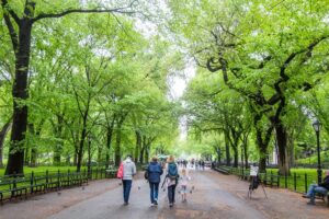 Read more about the article 24 Best Things to do in Central Park, NYC in each season!