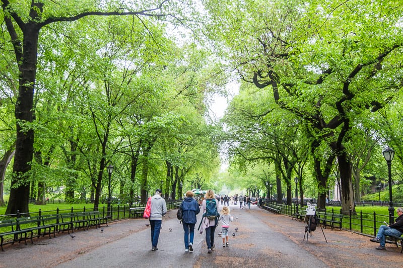 You are currently viewing 24 Best Things to do in Central Park, NYC in each season!