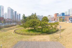 Read more about the article Jeonju’s Sole Natural Monument: The Revival of the 280-Year-Old Samcheon-dong Gomsol