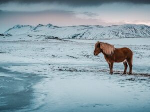 Read more about the article Where To Go Off The Beaten Path In Iceland!
