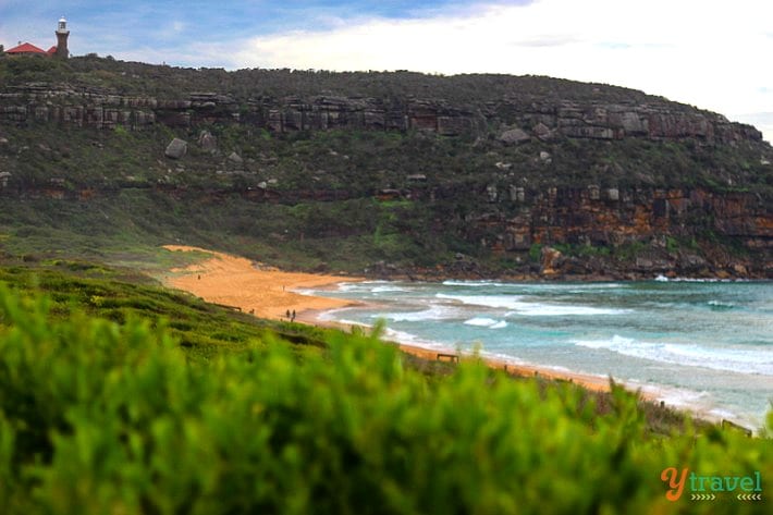 You are currently viewing Complete Guide To Visiting Palm Beach in Sydney, New South Wales
