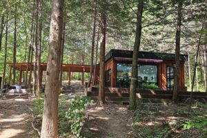 Read more about the article Stroll through the cypress forest paths of Geonji Mountain in Jeonju and Sanggwan in Wanju.