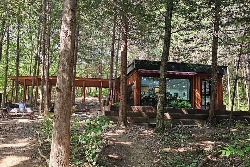 You are currently viewing Stroll through the cypress forest paths of Geonji Mountain in Jeonju and Sanggwan in Wanju.