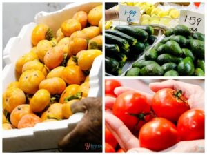 Read more about the article Guide To An Adelaide Central Market Food Tour