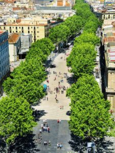 Read more about the article 15 Epic Things to Do in Barcelona With Teenagers!