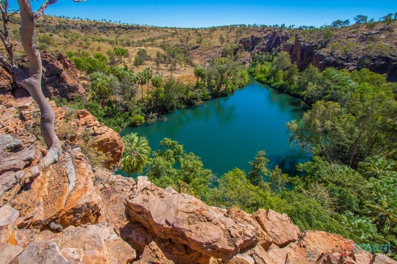 You are currently viewing Guide To Visiting Boodjamulla National Park, Gateway To Lawn Hill Gorge