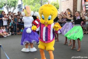 Read more about the article The Gold Coast Theme Parks Ranked Best To Worst