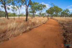 Read more about the article Guide To Visiting the Undara Lava Tubes, Outback Queensland