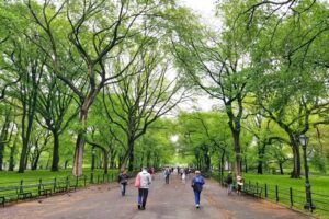 Read more about the article The 12 Best City Breaks in the USA: Where to Go For a Long Weekend