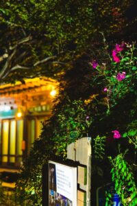 Read more about the article Jeonju Hanok Village night view and walking course – a perfect spot for a stroll on an early autumn night.
