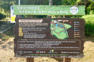 Read more about the article The endangered Jeonju Mulkkoripul (Dysophylla yatabeana) has bloomed!