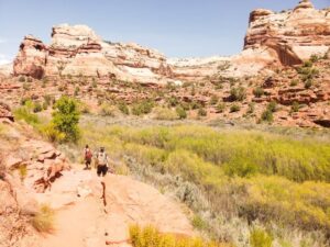 Read more about the article How To Hike Lower Calf Creek Falls: An Extraordinary Hike in Utah