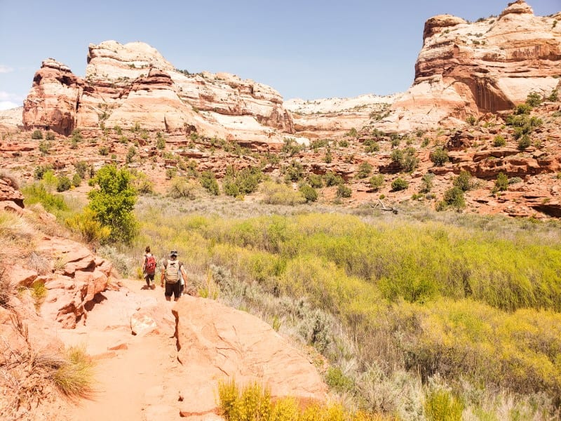 You are currently viewing How To Hike Lower Calf Creek Falls: An Extraordinary Hike in Utah