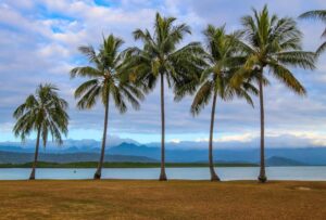 Read more about the article 11 Best Things to do in Port Douglas with Kids