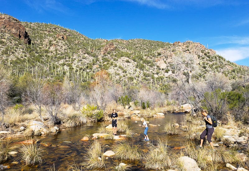 You are currently viewing A Day in Sabino Canyon Recreation Area, Tucson