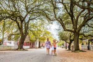 Read more about the article 14 Fun Things To Do In Williamsburg, VA