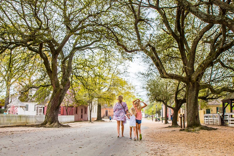 Read more about the article 14 Fun Things To Do In Williamsburg, VA