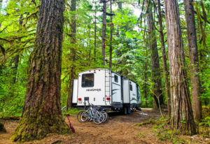 Read more about the article 3-Day McKenzie River Scenic Byway Itinerary: A Beautiful Road Trip In Oregon