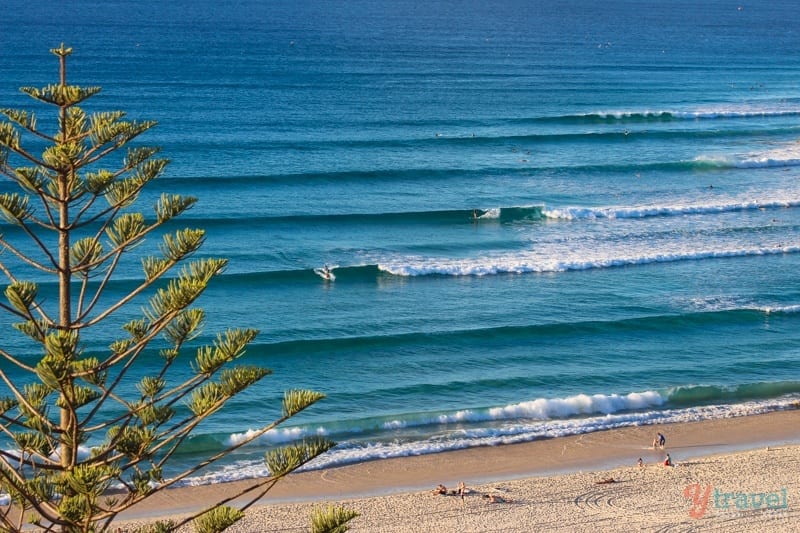 Read more about the article The Ultimate Sydney to Brisbane Road Trip Itinerary