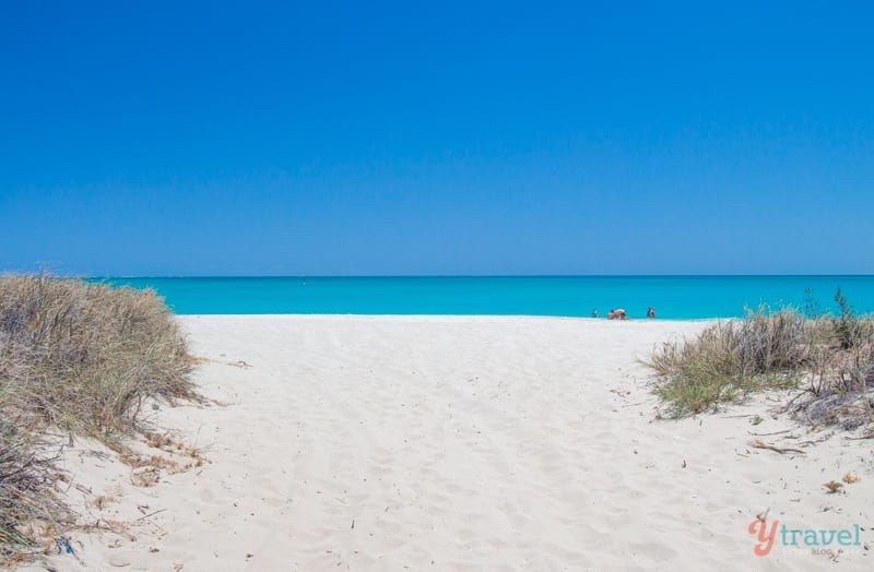 Read more about the article 11 Unmissable Things To Do In Coral Bay, Western Australia