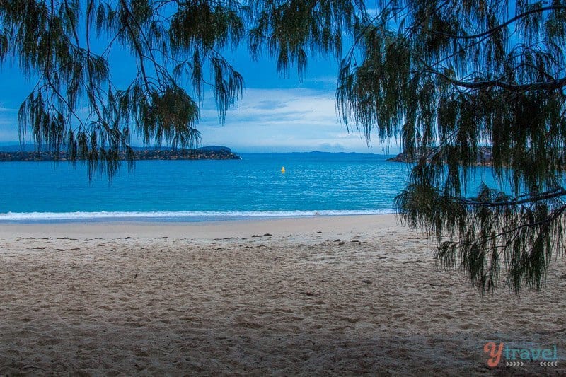 Read more about the article 22 Exciting Things to Do in Port Macquarie, NSW