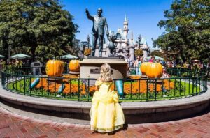 Read more about the article 16 Best Hotels Near Disneyland, CA (From Budget To Luxury)