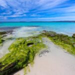 13 Day Trips From Sydney: The Perfect Escape Just Around The Corner