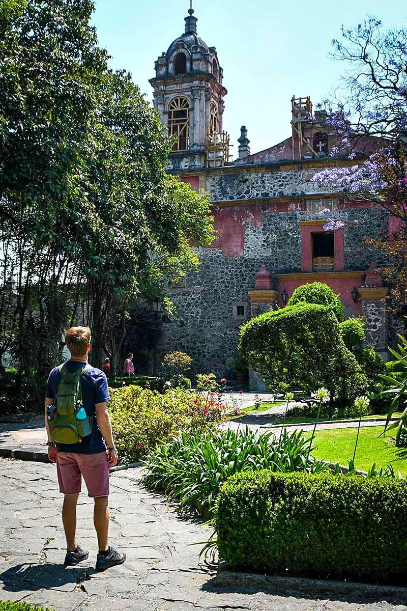 Read more about the article 25 of the Best Things to Do in Mexico City