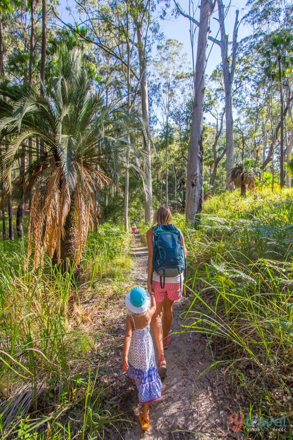 You are currently viewing 9 Things to Do in Carnarvon Gorge National Park [2026 Update]