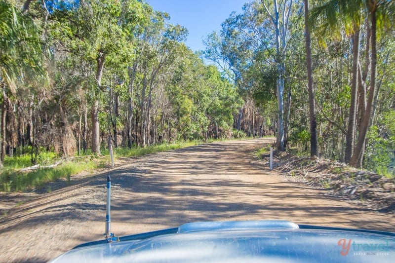 You are currently viewing Things to do in Baffle Creek, Queensland: Don’t be baffled! [2026 Update]