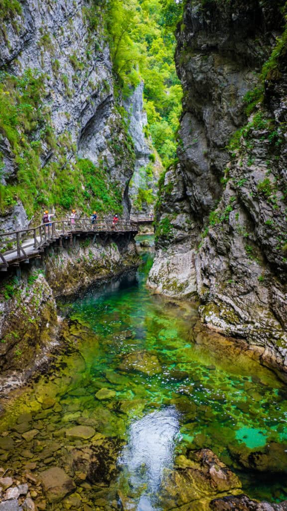You are currently viewing Vintgar Gorge, Slovenia: Read This Before You Book (The Walk Back Is Longer Than You Think)